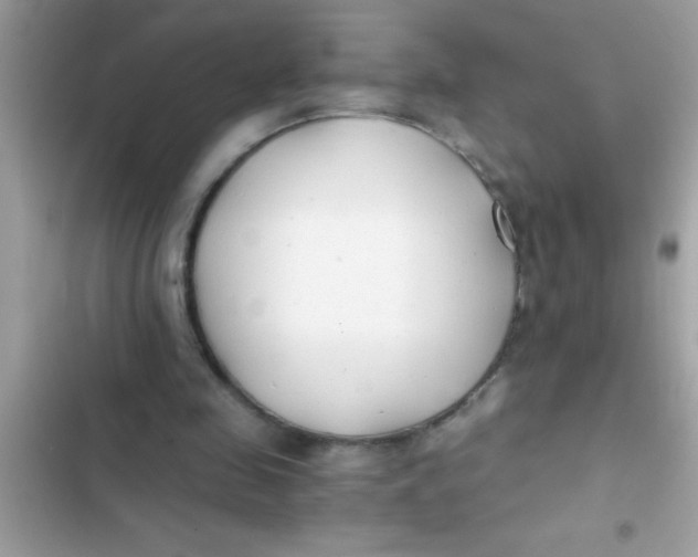 X0000103310341200809191922