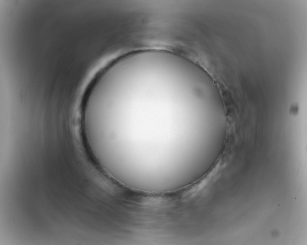 X0000103310342200809191922