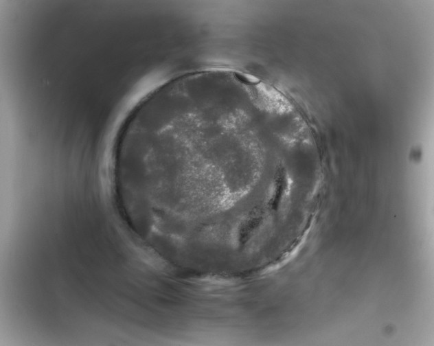 X0000103310343200809191922