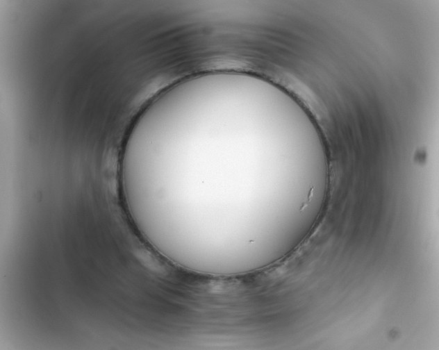 X0000103310345200809191922