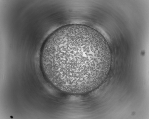 X0000103310346200809191922