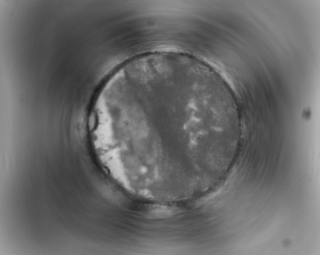 X0000103310347200809191922