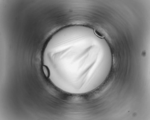 X0000103310348200809191922