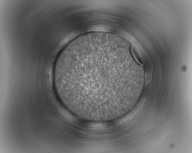 X0000103310349200809191922