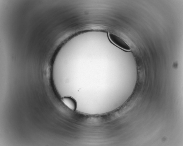 X0000103310350200809191922
