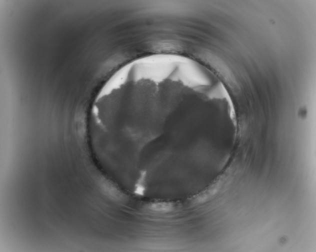 X0000103310353200809191922
