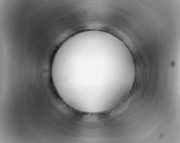X0000103310354200809191922