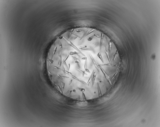X0000103310355200809191922