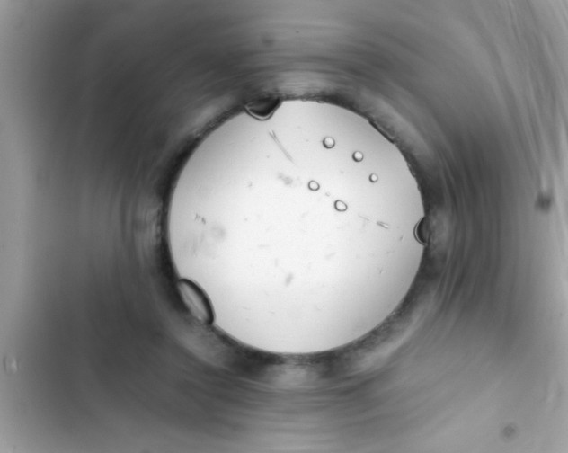X0000103310356200809191922