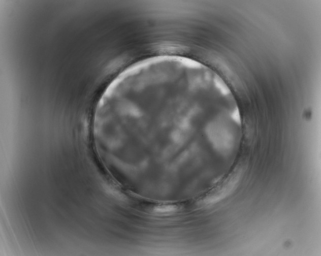 X0000103310357200809191922