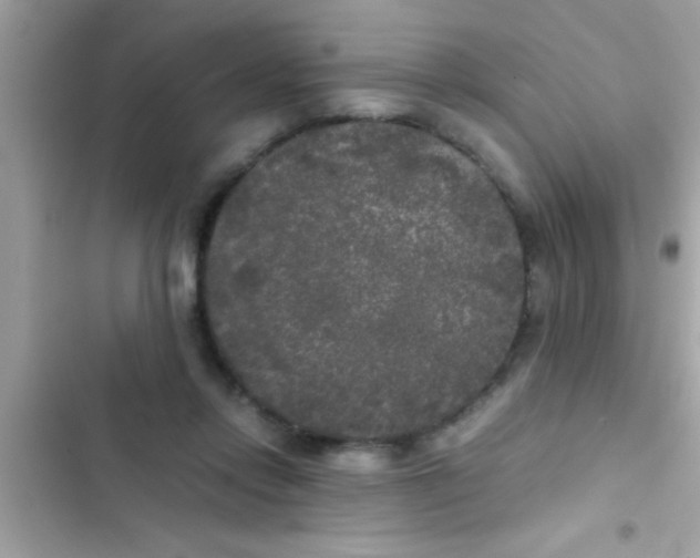 X0000103310358200809191922