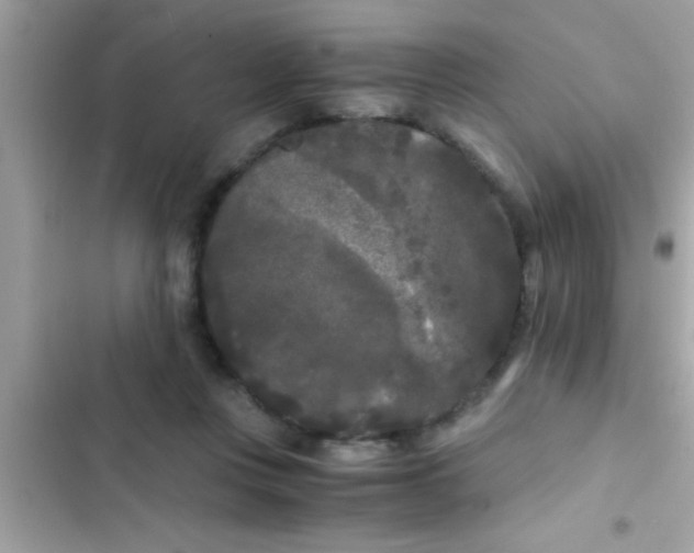 X0000103310359200809191923