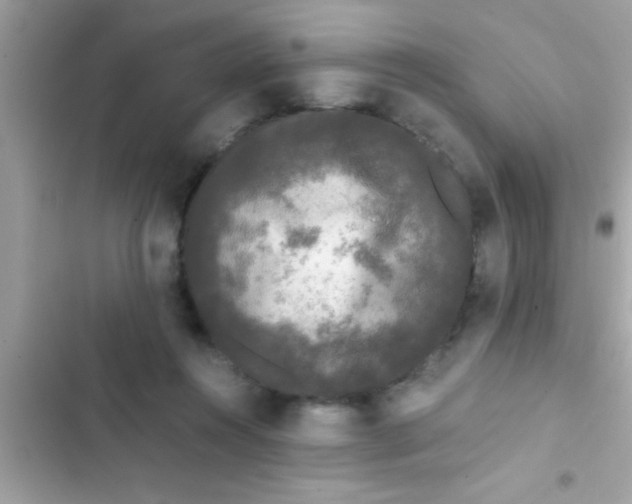 X0000103310360200809191923