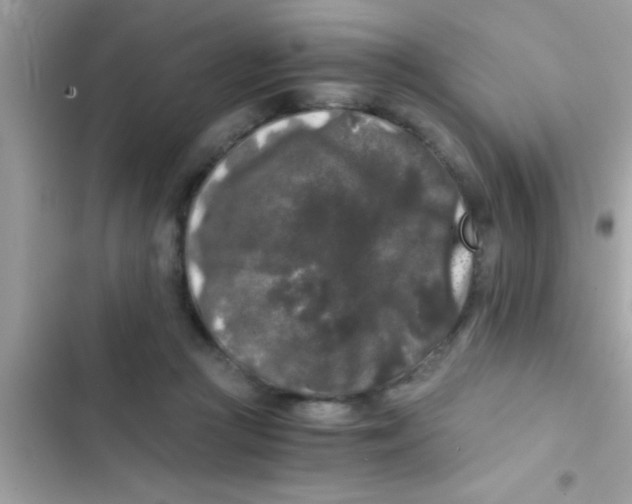 X0000103310361200809191923