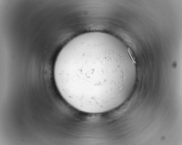 X0000103310362200809191923