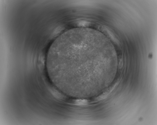 X0000103310363200809191923