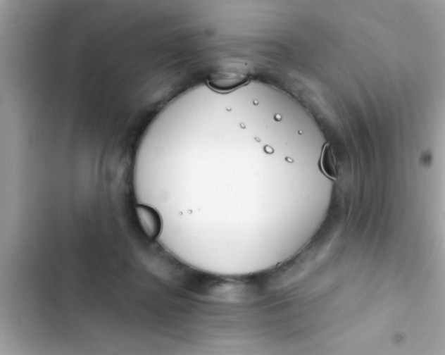 X0000103310364200809191923
