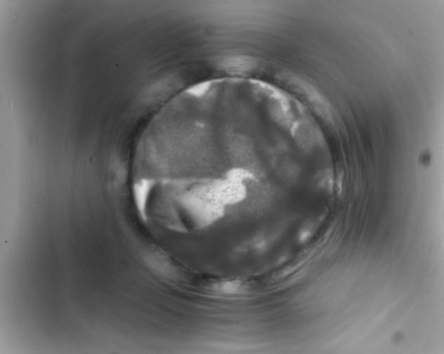 X0000103310365200809191923