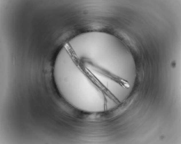 X0000103310366200809191923