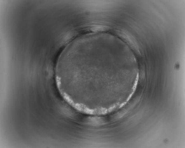 X0000103310367200809191923