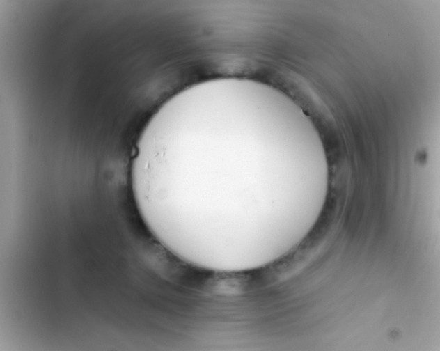 X0000103310368200809191923