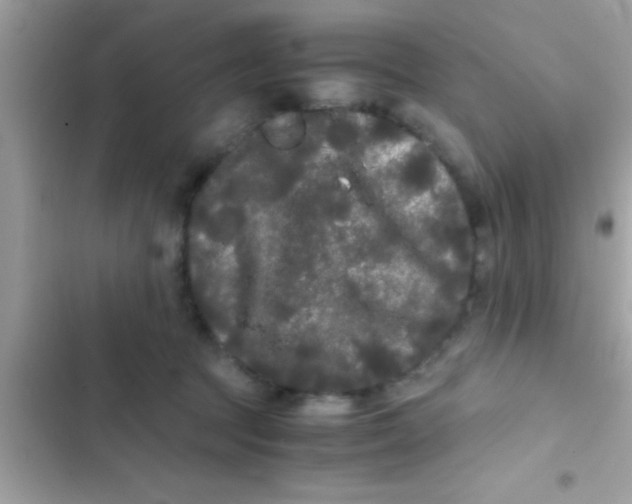 X0000103310369200809191923