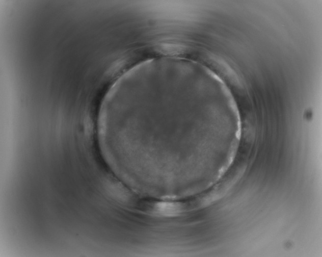 X0000103310371200809191923