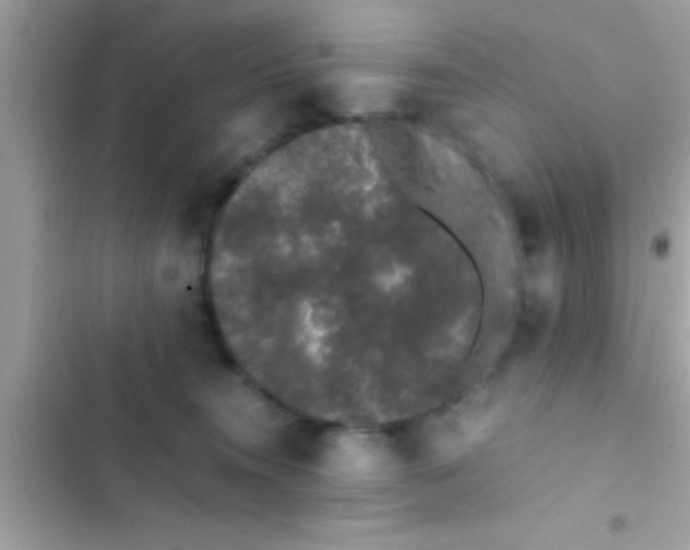 X0000103310372200809191923