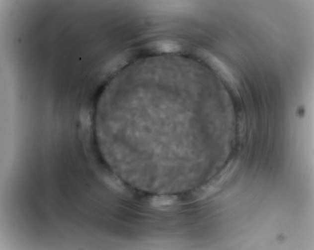 X0000103310373200809191923