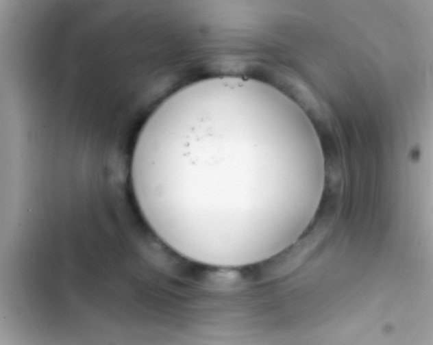 X0000103310374200809191923