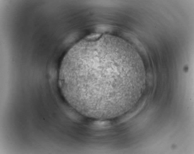 X0000103310375200809191923