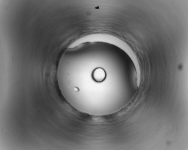 X0000103310376200809191923