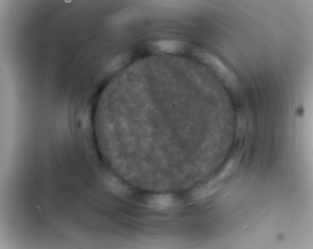 X0000103310377200809191923