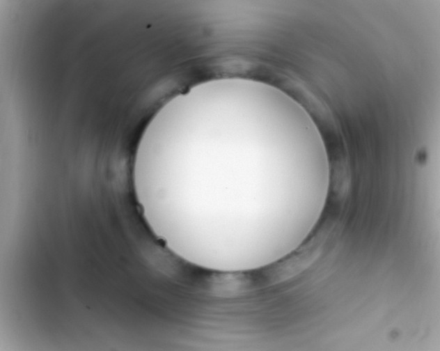 X0000103310378200809191923