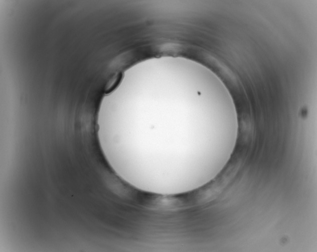 X0000103310379200809191923