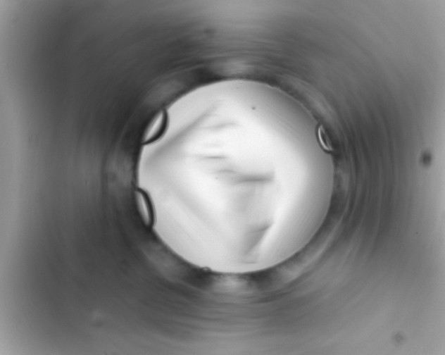X0000103310380200809191923