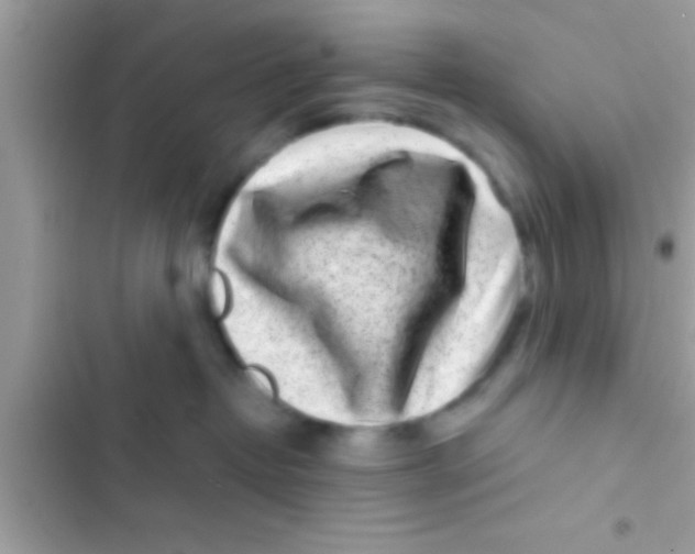 X0000103310382200809191923