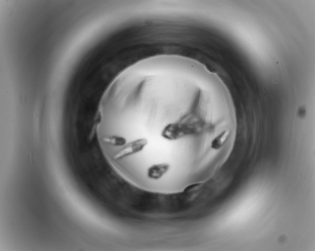 X0000103310383200809191923