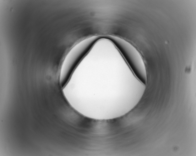 X0000103310384200809191923