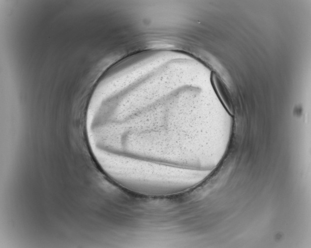 X0000103310385200809191922
