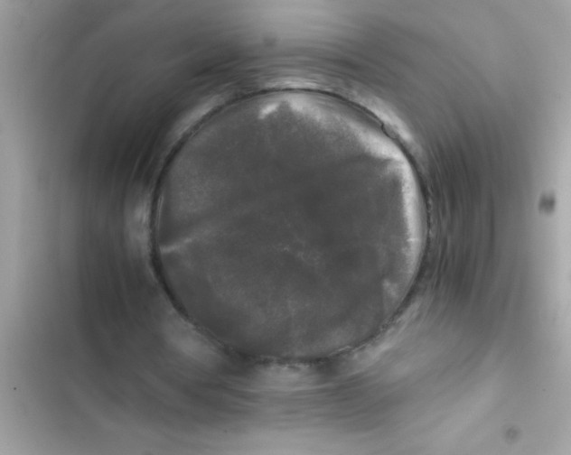 X0000103310386200809191922