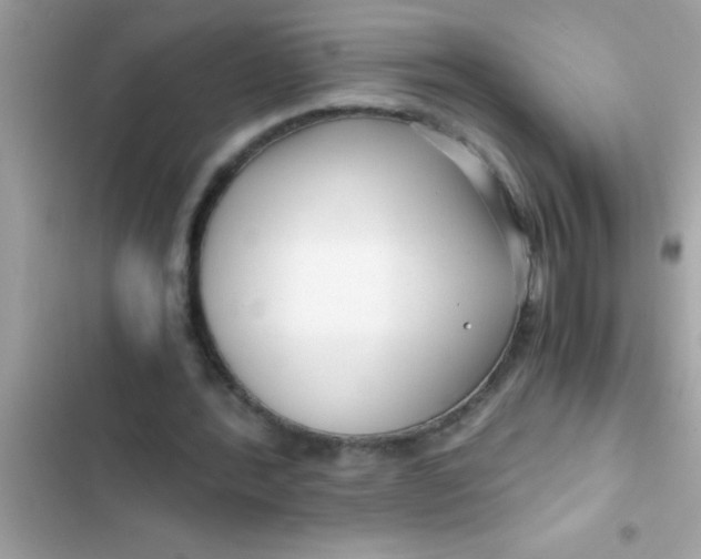 X0000103310388200809191922