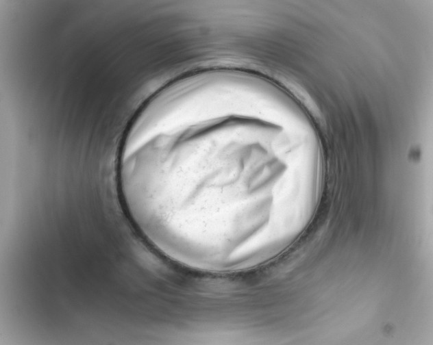 X0000103310389200809191922