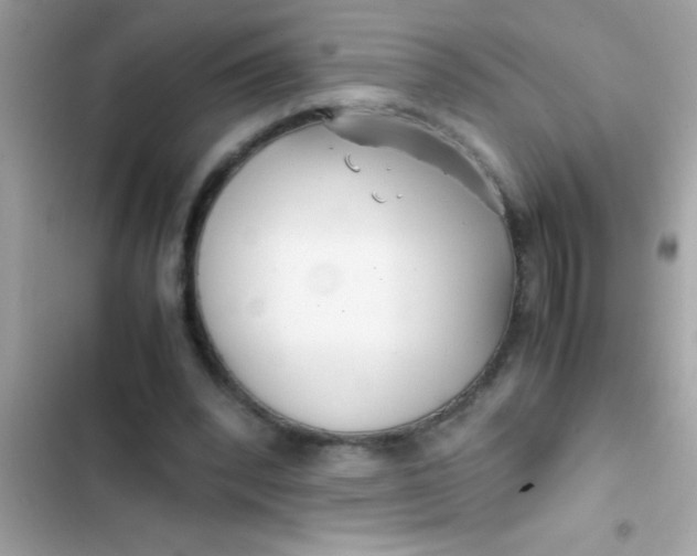 X0000103310392200809191922