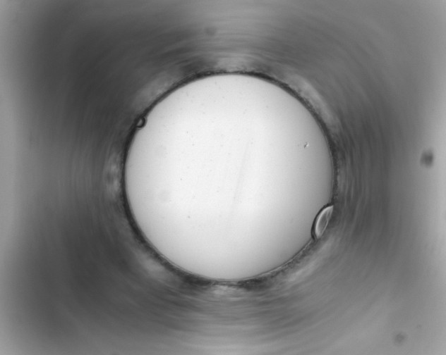 X0000103310393200809191922