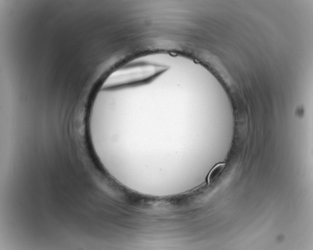 X0000103310395200809191922