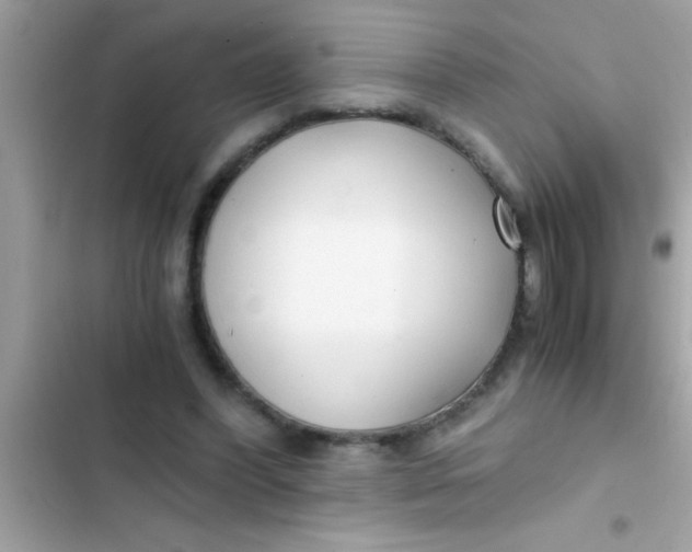 X0000103310396200809191922