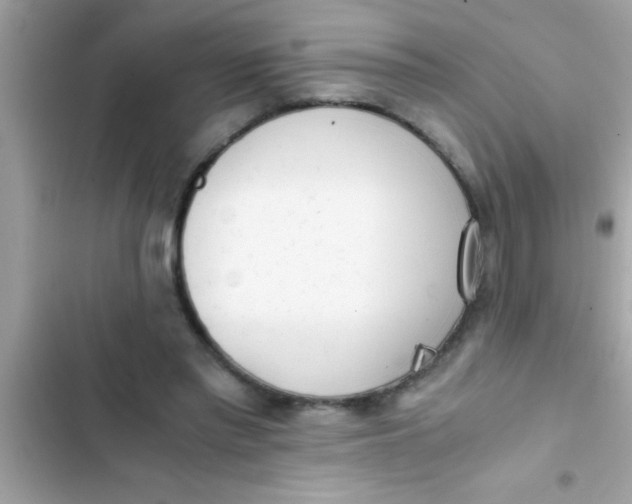 X0000103310397200809191922
