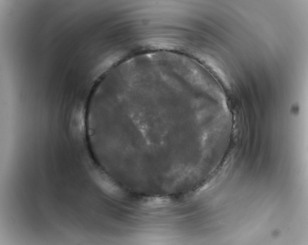 X0000103310398200809191922