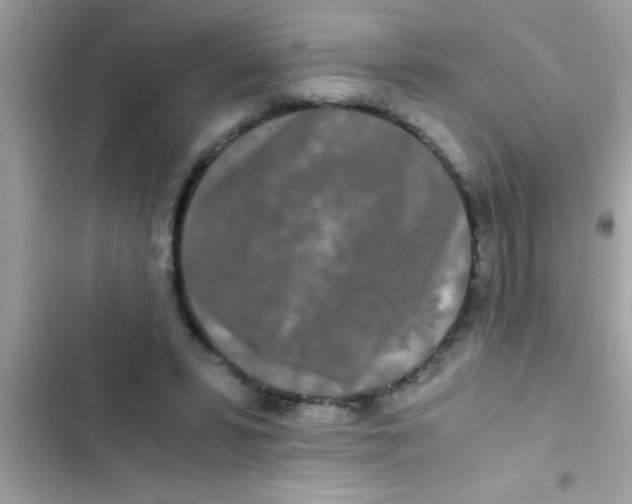 X0000103310399200809191922